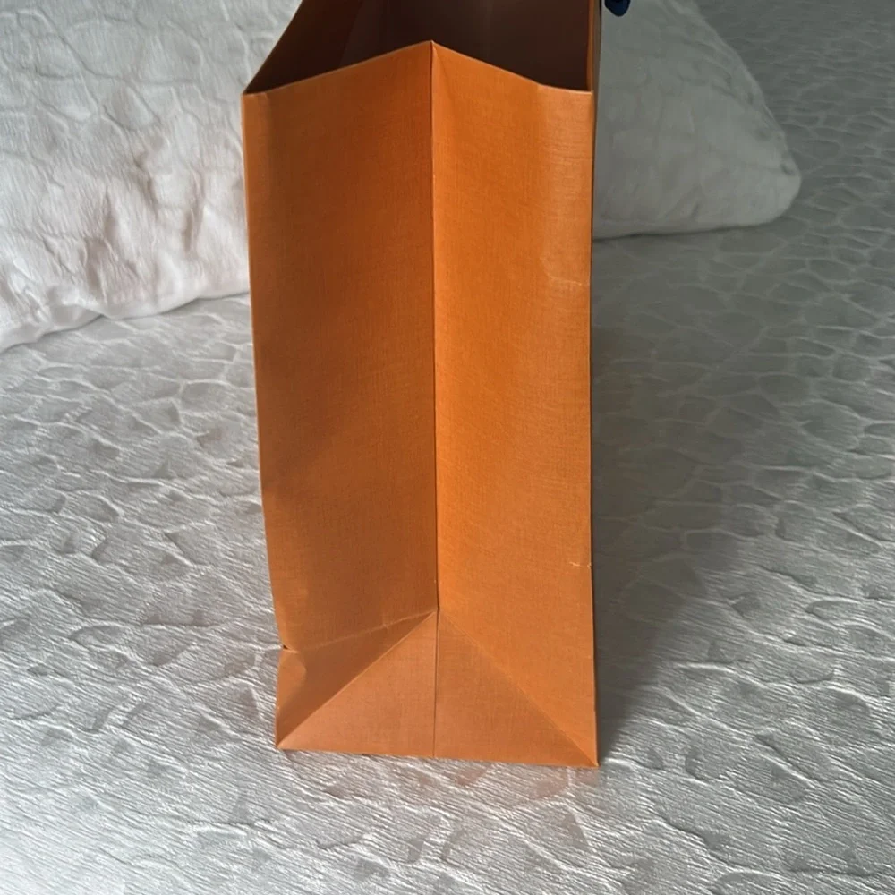 LOUIS VUITTON  Gift Bag - Picture 4 of 6